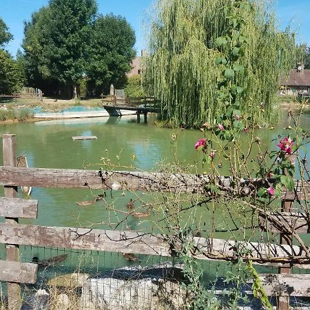 Ferme Bressane Les Arums Mervans 外观 照片
