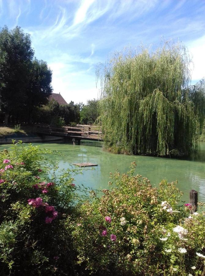 Ferme Bressane Les Arums Mervans 外观 照片